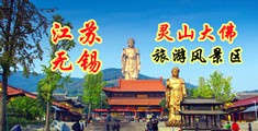 蜜臀ty网站江苏无锡灵山大佛旅游风景区